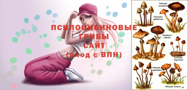 гашишное масло Абаза