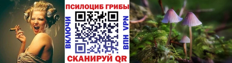 где купить наркоту  Липецк  Псилоцибиновые грибы мухоморы 