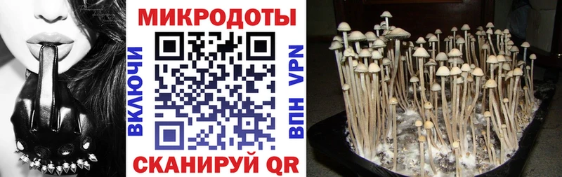 Галлюциногенные грибы MAGIC MUSHROOMS Липецк